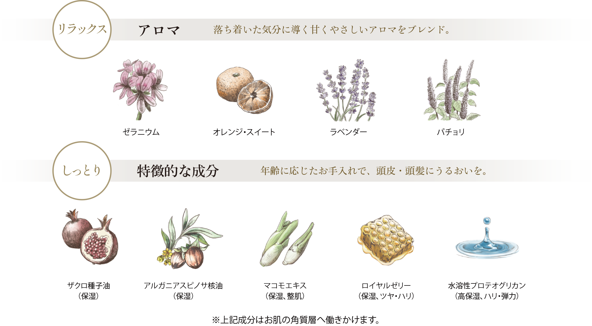 満月シャンプーのアロマと特徴的な成分