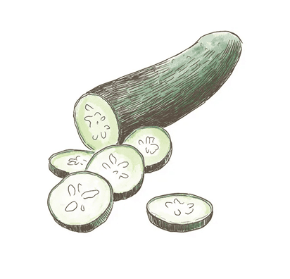 キュウリ果実エキス